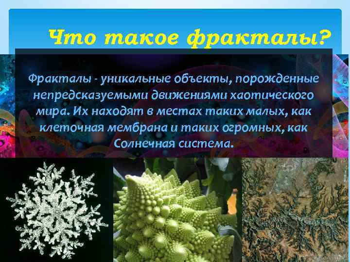 Что такое фракталы? Фракталы - уникальные объекты, порожденные непредсказуемыми движениями хаотического мира. Их находят