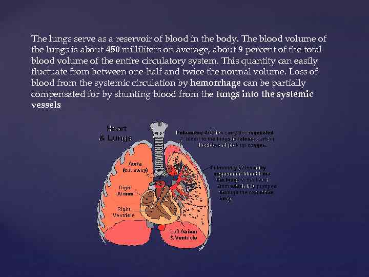 The lungs serve as a reservoir of blood in the body. The blood volume