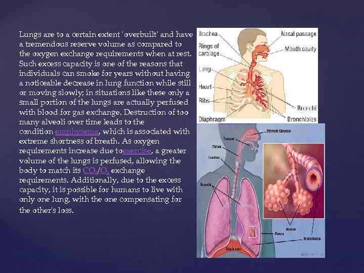 Lungs are to a certain extent 'overbuilt' and have a tremendous reserve volume as