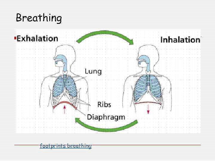 Breathing footprints breathing 