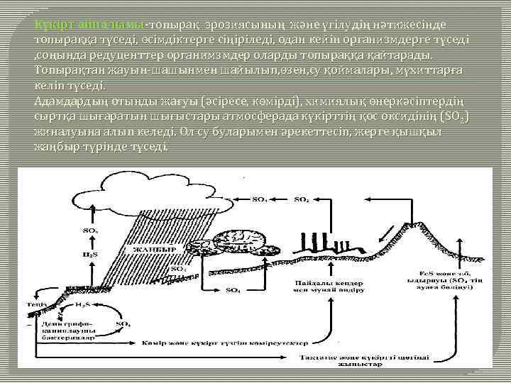Күкірт айналымы-топырақ эрозиясының және үгілудің нәтижесінде топыраққа түседі, өсімдіктерге сіңіріледі, одан кейін организмдерге түседі