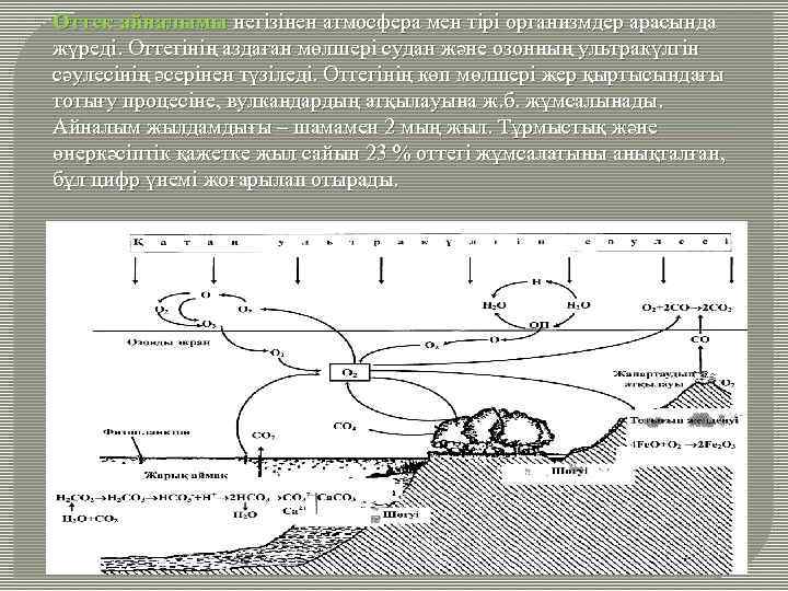 Оттек айналымы негізінен атмосфера мен тірі организмдер арасында жүреді. Оттегінің аздаған мөлшері судан және