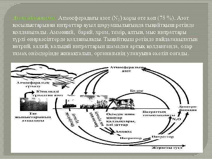 Азот айналымы. Атмосферадағы азот (N 2) қоры өте көп (78 %). Азот қосылыстарынан нитраттар