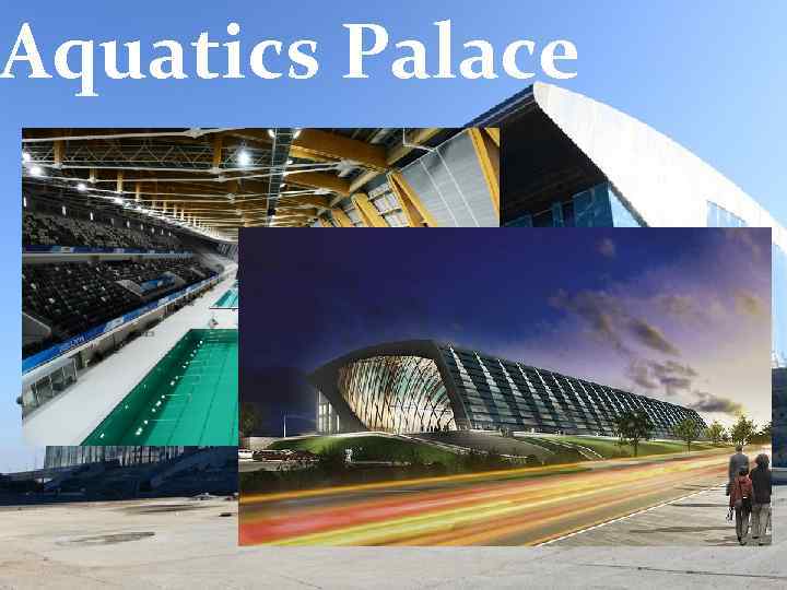 Aquatics Palace 