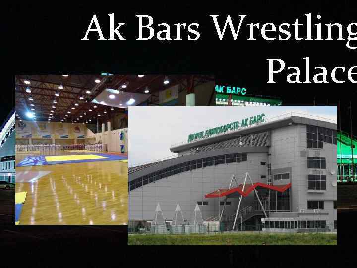 Ak Bars Wrestling Palace 