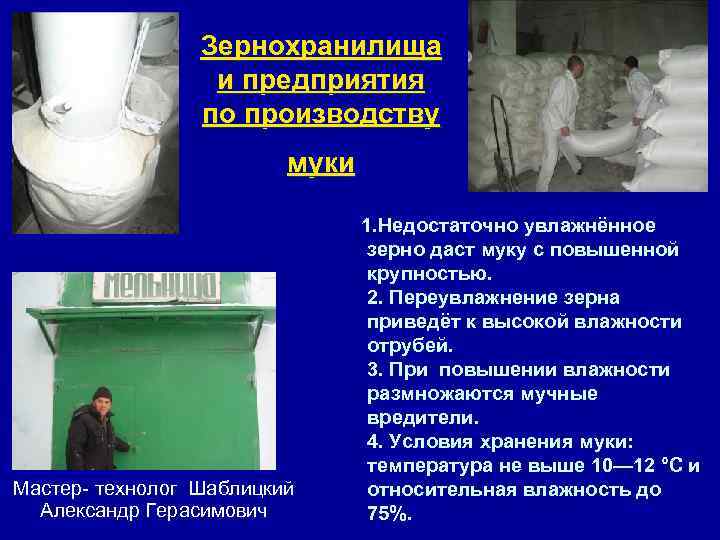 Зернохранилища и предприятия по производству муки 1. Недостаточно увлажнённое Мастер- технолог Шаблицкий Александр Герасимович