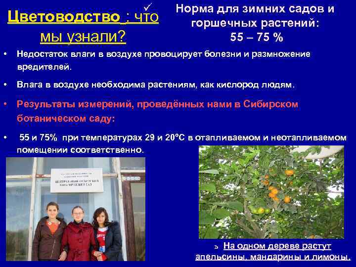 ü Цветоводство : что мы узнали? Норма для зимних садов и горшечных растений: 55