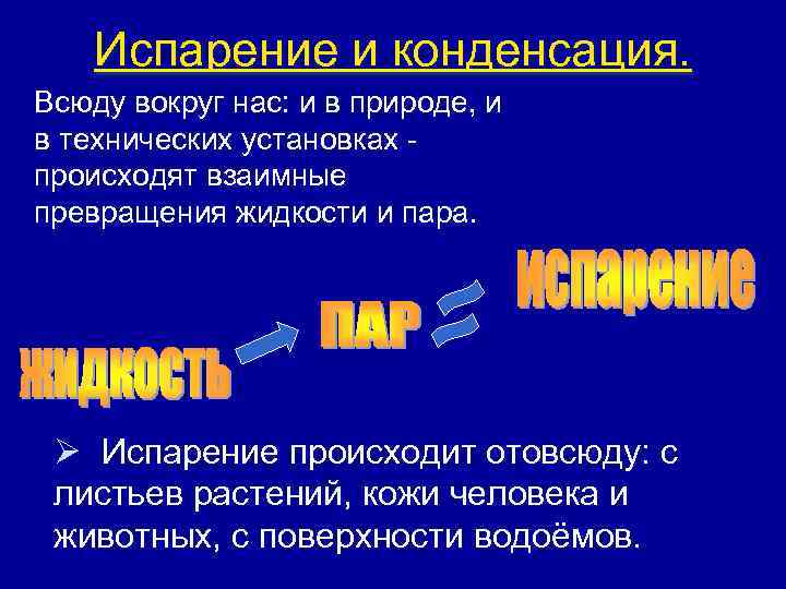 Испарение и конденсация. Всюду вокруг нас: и в природе, и в технических установках происходят