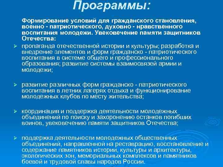 Программы: Формирование условий для гражданского становления, военно - патриотического, духовно - нравственного воспитания молодежи.