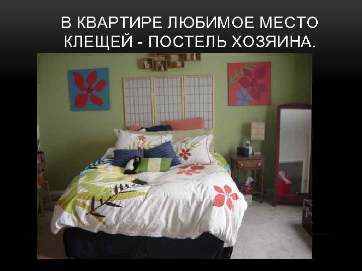 В КВАРТИРЕ ЛЮБИМОЕ МЕСТО КЛЕЩЕЙ - ПОСТЕЛЬ ХОЗЯИНА. 