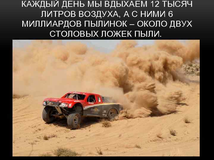 КАЖДЫЙ ДЕНЬ МЫ ВДЫХАЕМ 12 ТЫСЯЧ ЛИТРОВ ВОЗДУХА, А С НИМИ 6 МИЛЛИАРДОВ ПЫЛИНОК