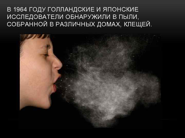 В 1964 ГОДУ ГОЛЛАНДСКИЕ И ЯПОНСКИЕ ИССЛЕДОВАТЕЛИ ОБНАРУЖИЛИ В ПЫЛИ, СОБРАННОЙ В РАЗЛИЧНЫХ ДОМАХ,