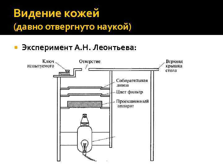 Видение кожей (давно отвергнуто наукой) Эксперимент А. Н. Леонтьева: 