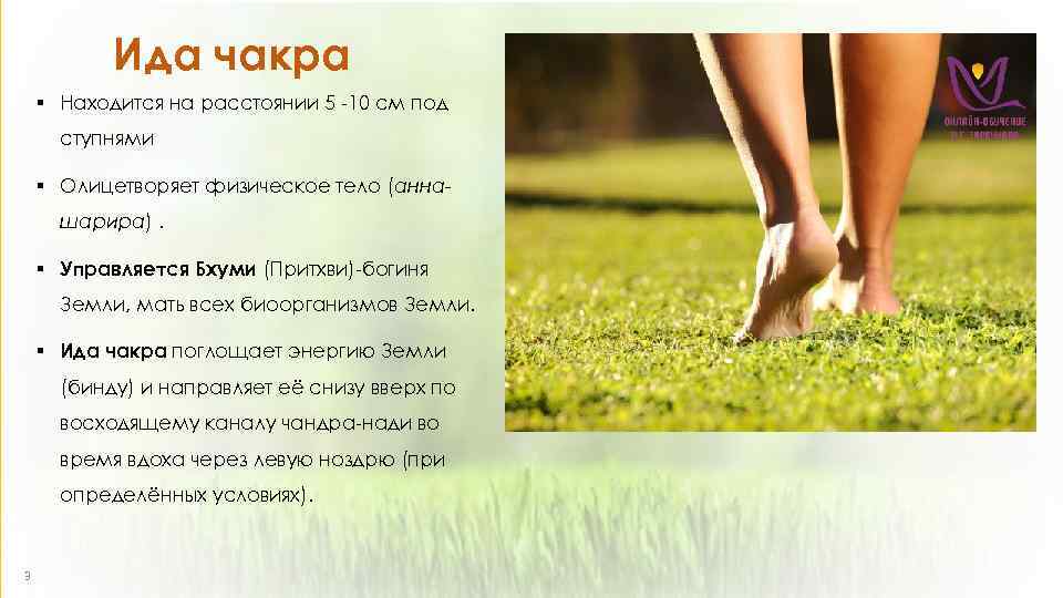 Ида чакра § Находится на расстоянии 5 -10 см под ступнями § Олицетворяет физическое