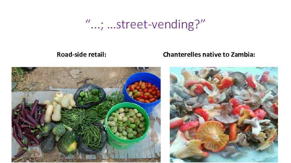 “. . . ; …street-vending? ” Road-side retail: Chanterelles native to Zambia: 