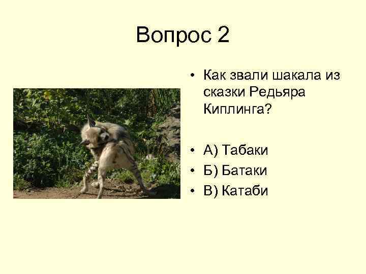 Вопрос 2 • Как звали шакала из сказки Редьяра Киплинга? • А) Табаки •