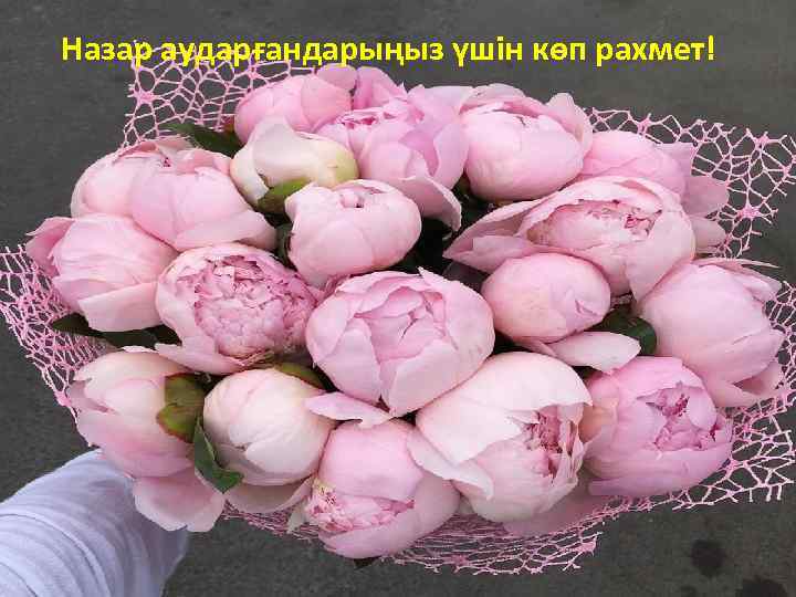 Назар аударғандарыңыз үшін көп рахмет! 