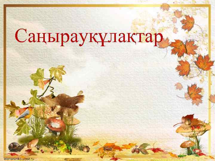 Саңырауқұлақтар 