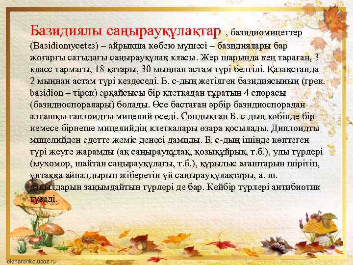 Базидиялы саңырауқұлақтар , базидиомицеттер (Вasіdіomycetes) – айрықша көбею мүшесі – базидиялары бар жоғарғы сатыдағы