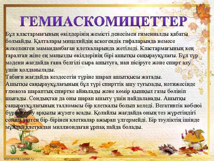 Бұл кластармағының өкілдерінің жемісті денесімен гимениалды қабаты болмайды. Қалталары мицелийдің аскогендік гифаларында немесе жекеленген