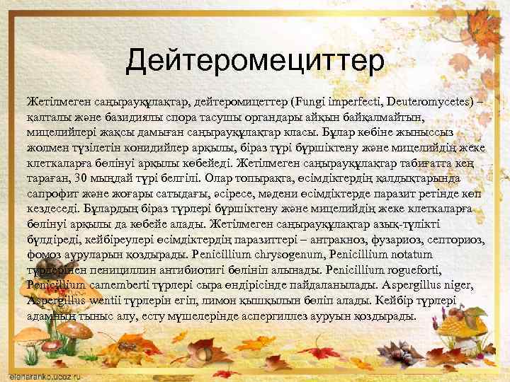 Дейтеромециттер Жетілмеген саңырауқұлақтар, дейтеромицеттер (Fungі іmperfectі, Deuteromycetes) – қалталы және базидиялы спора тасушы органдары