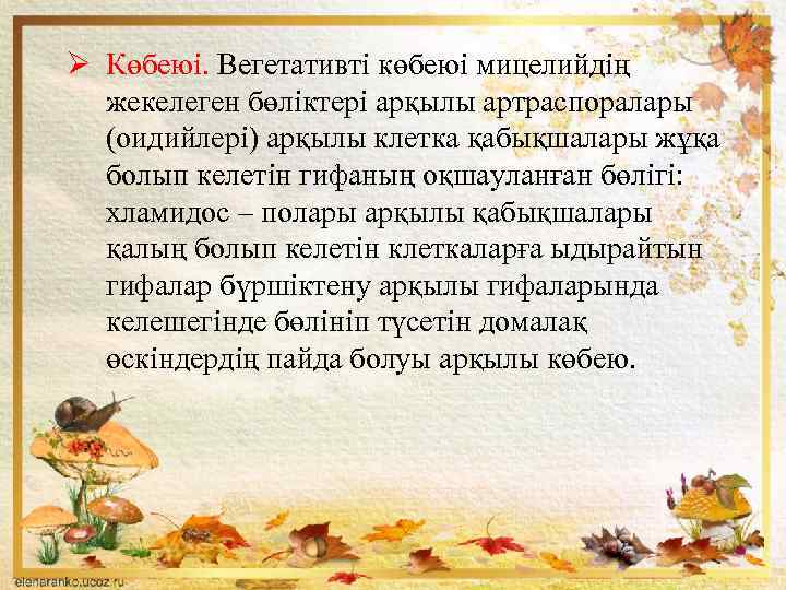 Ø Көбеюі. Вегетативті көбеюі мицелийдің жекелеген бөліктері арқылы артраспоралары (оидийлері) арқылы клетка қабықшалары жұқа