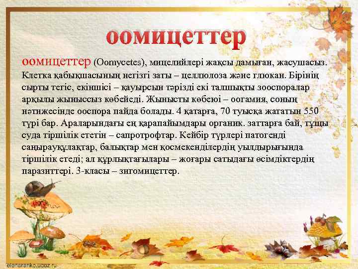 оомицеттер (Oomycetes), мицелийлері жақсы дамыған, жасушасыз. Клетка қабықшасының негізгі заты – целлюлоза және глюкан.