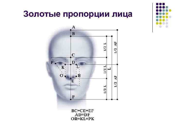 Золотые пропорции лица 