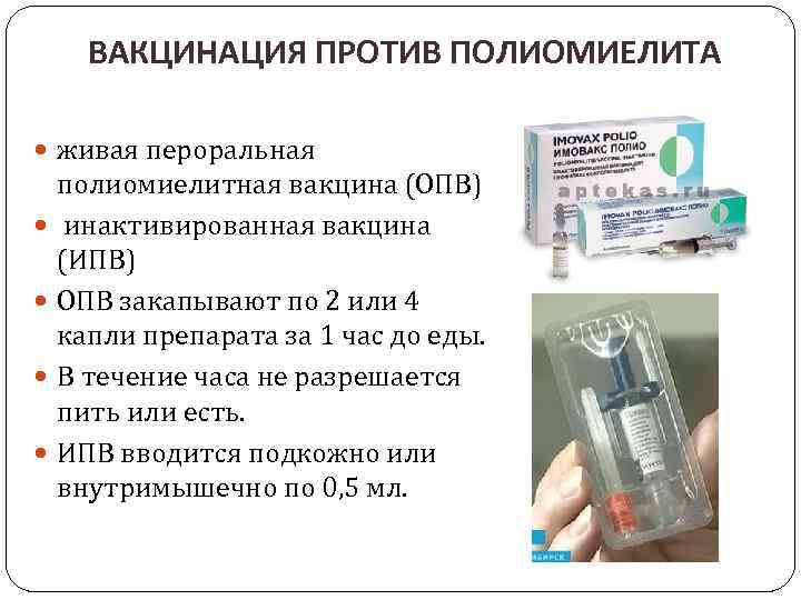 ВАКЦИНАЦИЯ ПРОТИВ ПОЛИОМИЕЛИТА живая пероральная полиомиелитная вакцина (ОПВ) инактивированная вакцина (ИПВ) ОПВ закапывают по