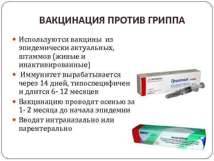 ВАКЦИНАЦИЯ ПРОТИВ ГРИППА Используются вакцины из эпидемически актуальных, штаммов (живые и инактивированные) Иммунитет вырабатывается