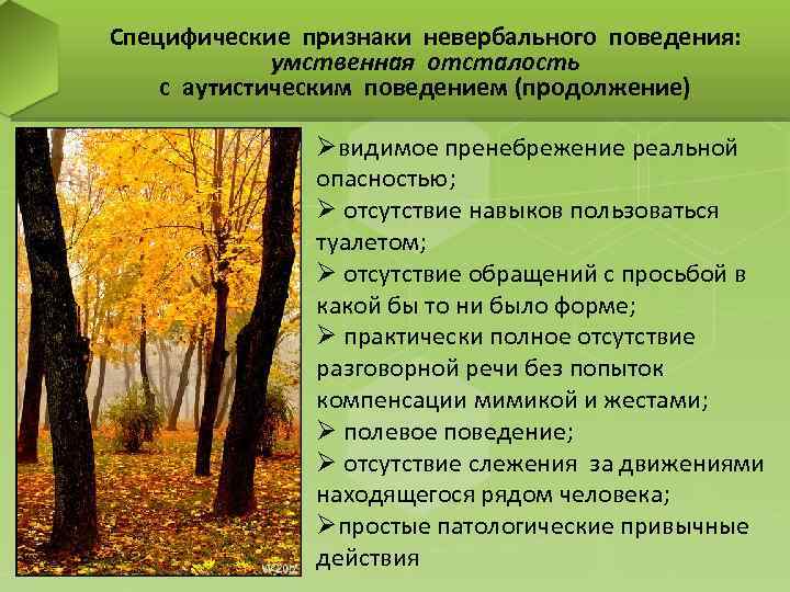 Специфические признаки невербального поведения: умственная отсталость с аутистическим поведением (продолжение) Øвидимое пренебрежение реальной опасностью;