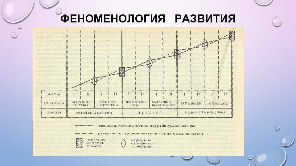 ФЕНОМЕНОЛОГИЯ РАЗВИТИЯ 