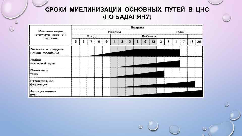 СРОКИ МИЕЛИНИЗАЦИИ ОСНОВНЫХ ПУТЕЙ В ЦНС (ПО БАДАЛЯНУ) 