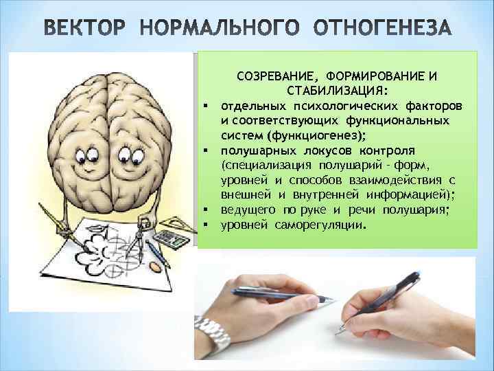 § § СОЗРЕВАНИЕ, ФОРМИРОВАНИЕ И СТАБИЛИЗАЦИЯ: отдельных психологических факторов и соответствующих функциональных систем (функциогенез);