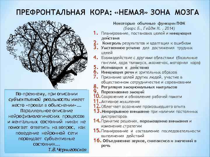 ПРЕФРОНТАЛЬНАЯ КОРА: «НЕМАЯ» ЗОНА МОЗГА По-прежнему, при описании субъективной реальности имеет место «провал в