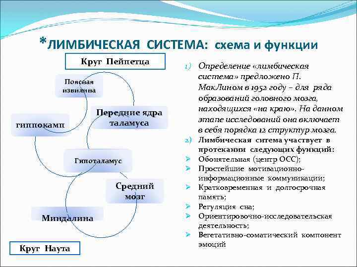 *ЛИМБИЧЕСКАЯ СИСТЕМА: схема и функции Круг Пейпетца Поясная извилина Передние ядра таламуса гиппокамп Гипоталамус