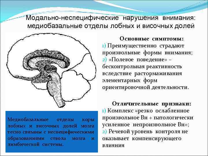 Модально-неспецифические нарушения внимания: медиобазальные отделы лобных и височных долей Основные симптомы: 1) Преимущественно страдают