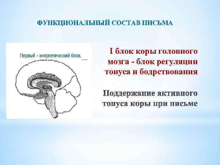 ФУНКЦИОНАЛЬНЫЙ СОСТАВ ПИСЬМА I блок коры головного мозга - блок регуляции тонуса и бодрствования
