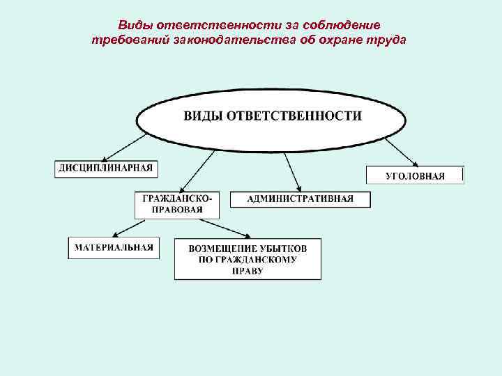 Виды ответственности за соблюдение требований законодательства об охране труда 