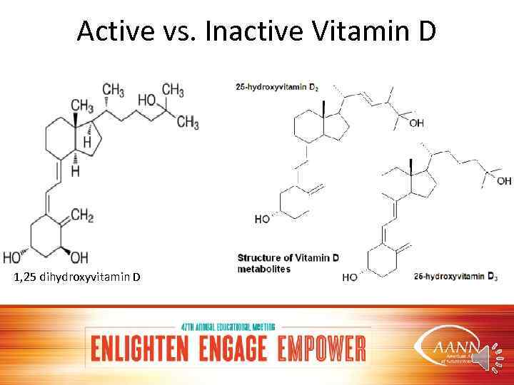 Active vs. Inactive Vitamin D 1, 25 dihydroxyvitamin D 