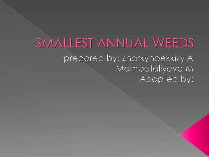 SMALLEST ANNUAL WEEDS prepared by: Zharkynbekkizy A Mambetaliyeva M Adopted by: 