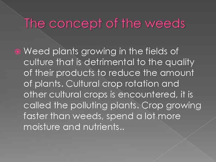 The concept of the weeds Weed plants growing in the fields of culture that