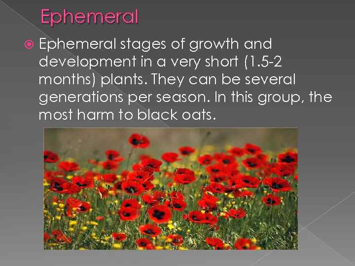 Ephemeral stages of growth and development in a very short (1. 5 -2 months)