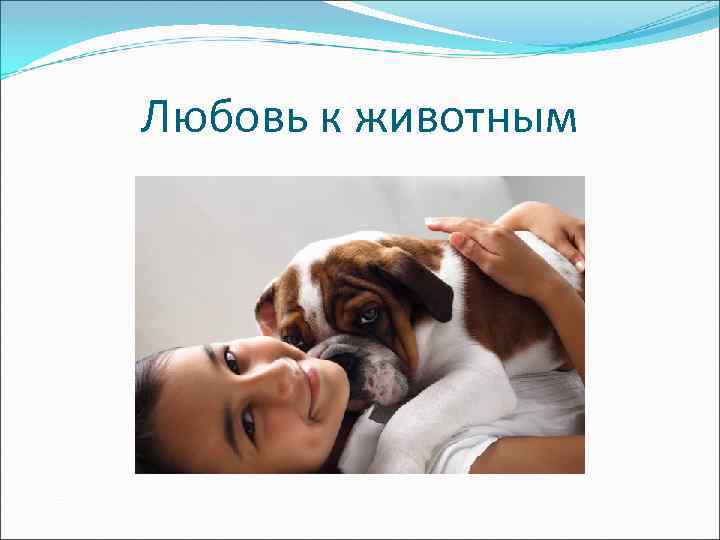 Любовь к животным 