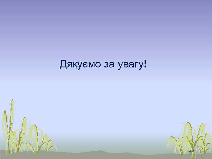 Дякуємо за увагу! 20 