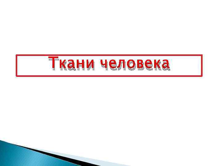 Ткани человека 