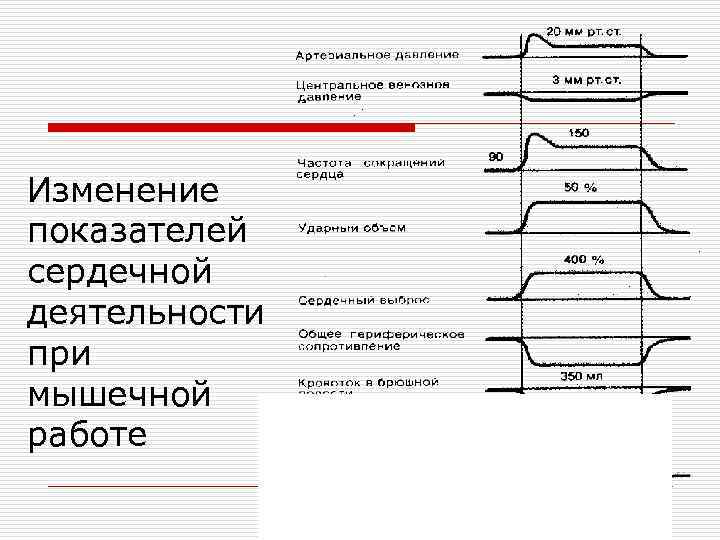 Показатели сердечной деятельности презентация