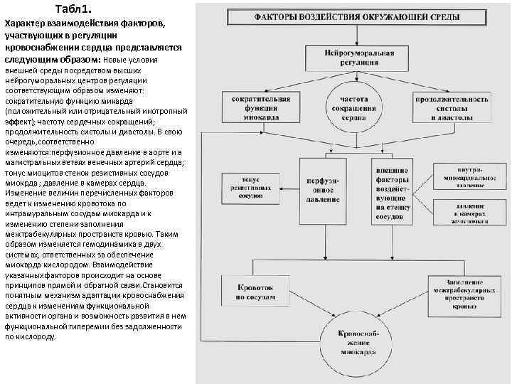 Табл 1. Характер взаимодействия факторов, участвующих в регуляции кровоснабжении сердца представляется следующим образом: Новые