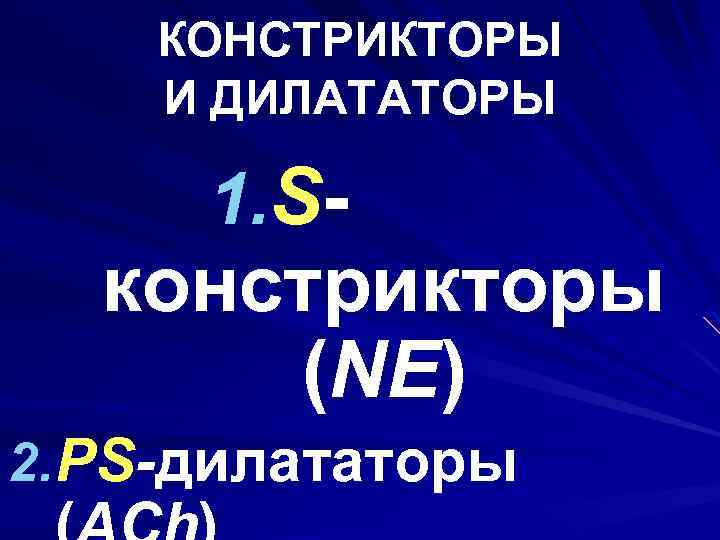 КОНСТРИКТОРЫ И ДИЛАТАТОРЫ 1. S- констрикторы (NE) 2. PS-дилататоры 