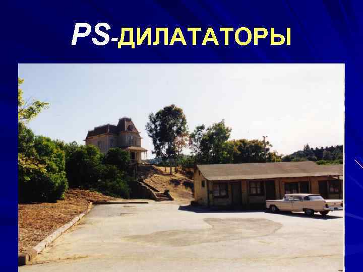 PS-ДИЛАТАТОРЫ 